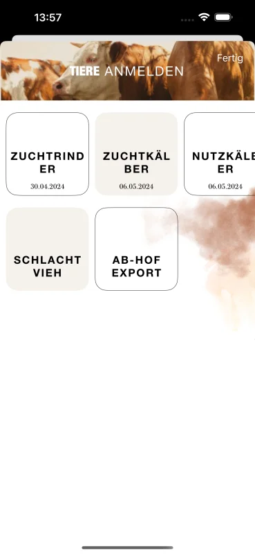 Screenshot der Rind OÖ App für iOS und Android